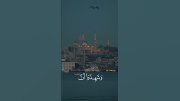 تلاوة طيبة للشيخ حمزة الفار