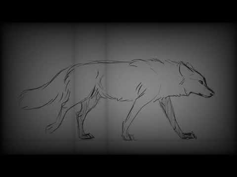 YOASOBI - Monster「怪物」Walking Wolf Animation