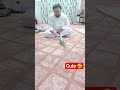 Top 1 One YouTube Shorts #parrot #cutebaby #shorts