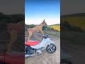 just fly away fast! ⚡💨 #funnypetvideos #funnyvideo #doggielife #animallife #cutepets