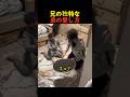 兄の独特な弟の愛し方