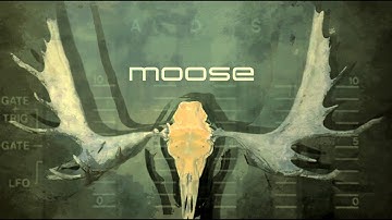 moose  - stephen askew