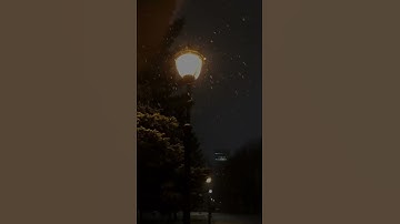 قران بصوت خاشع ومؤثر - القارئ احمد خضر