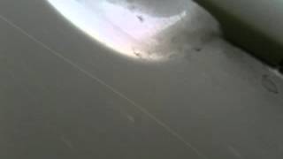 IMG 0728