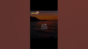 ﴿ إِنَّ الَّذينَ كَفَروا بِآياتِ اللَّهِ لَهُم عَذابٌ شَديدٌ﴾ القارئ / عبدالرحمن مسعد
