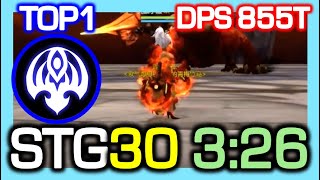 [TOP1] Dark Summoner 'STG30' 3:26 / DPS 855 Trillion / Dragon Nest China