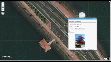 Crear capa en ArcGIS Online y agregar campos nuevos y habilitar imagen en la ventana emergente.