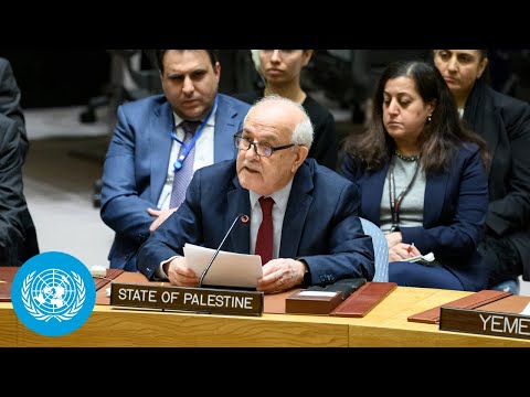 (Full) Israel/Palestine: Resolution Passes in Security Council | Calling for Immediate Ceasefire