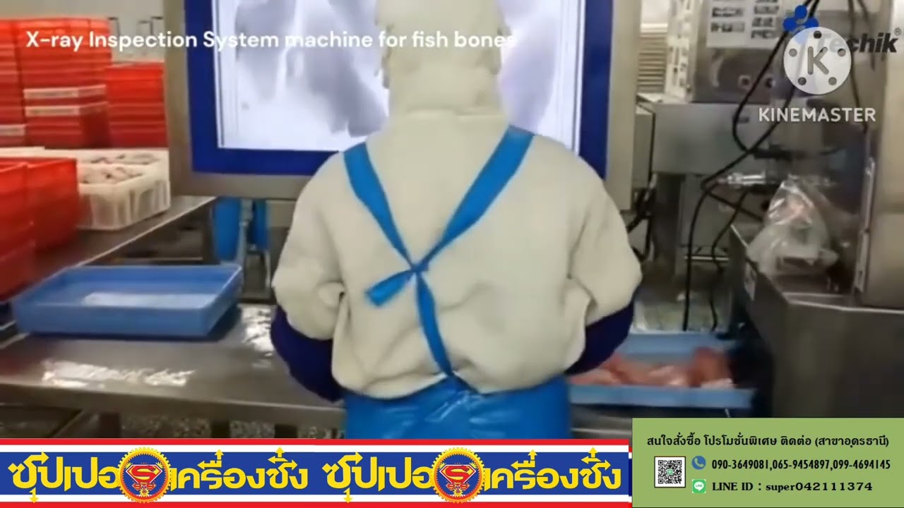 TECHIK_ X-RAY Inspection System machine for fish bones(720p)