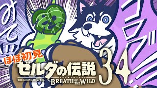 【はじめてのゼルダの伝説】＃34 　コログは続くよどこまでも【BotW】