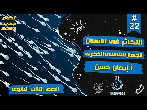 22 شرح درس التكاثر فى الانسان شرح الجهاز التناسلي الذكري احياء تالته ثانوى 2023 إيمان حسن