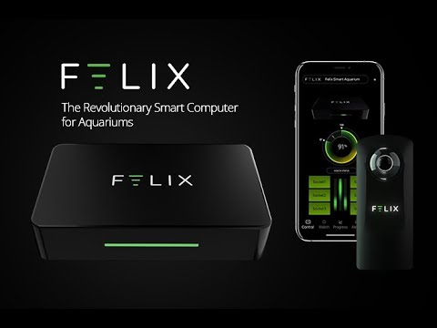FELIX - The Revolutionary Smart Computer for Aquariums