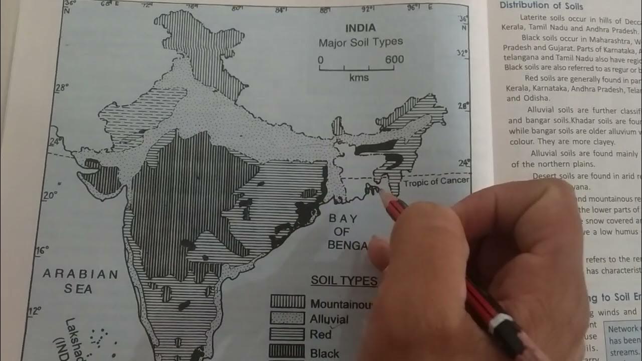 Major soil types Most fertile soil in India Types of soil in India