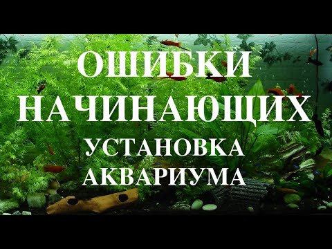 Ошибки начинающих аквариумистов. Установка аквариума