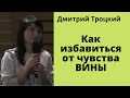 Как избавиться от чувства ВИНЫ Дмитрий Троцкий