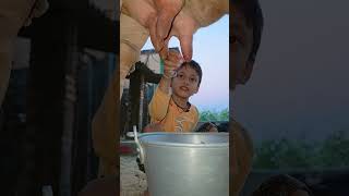 Choti Choti Gaiya Fejhu Jg love song cow