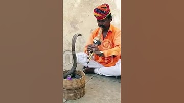 Thumbnail of Snake Charming Flute Music