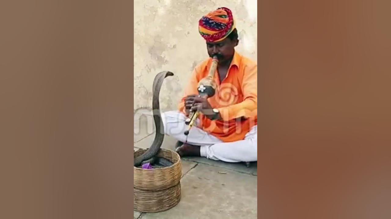 Snake Charming Flute Music