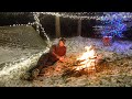 Solo winter camping in the snow with thousands of christmas lights