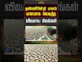 Ramanathapuram | தண்ணீரின்றி பாளம் பாளமாக வெடித்த விவசாய நிலங்கள் | Drought | Agriculture Land