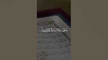 القرآن الكريم هو جنة، هو رفعة ، هو هداية، هو سبيل إسعاد ودربُ أمان 🤍