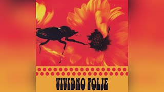 Lord Nap  Vividno Polje (Full Album 2024)