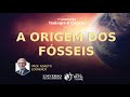 A Origem dos Fósseis | Prof. Adauto Lourenço