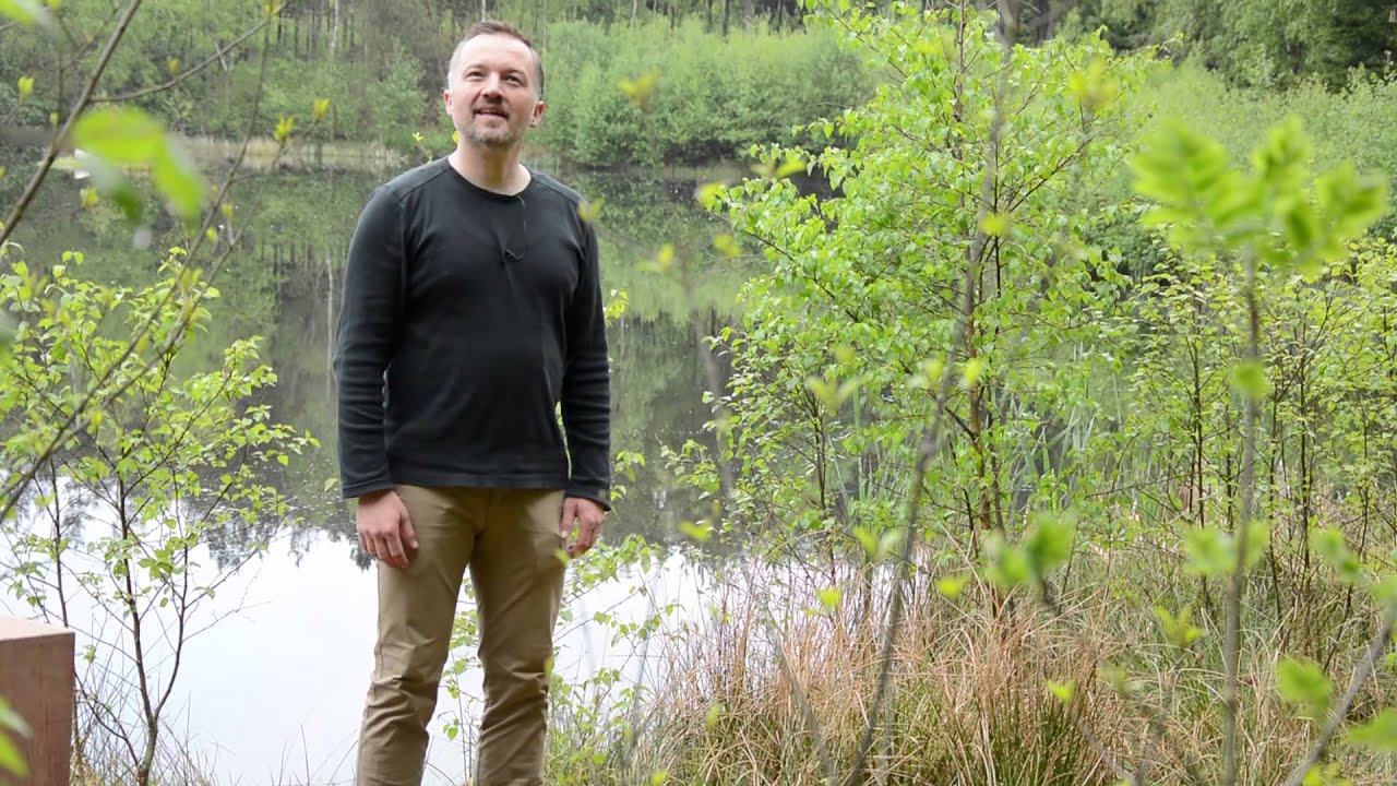 Bibelen Live - Salme 139