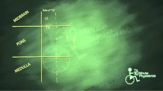 Master Brainstem Neuroanatomy (Part I)