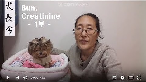 강아지 신부전 4탄 -  1부, 신부전 확진검사와 Bun, Creatinine 알아보기