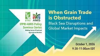 Black Sea Disruptions and Global Market Impacts