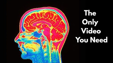 consciousness explained in 2 minutes