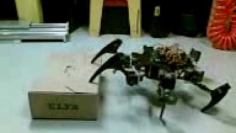 Hexapod Phoenix and the Box part II