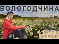 Вологодская область путешествие на Русский Север. Лето в деревне