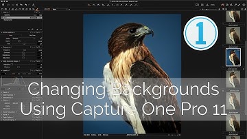 Capture One: Changing Background Color using Adjustment Layers