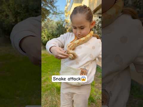 هجمت الحية على بنتي ملك Malk Kids