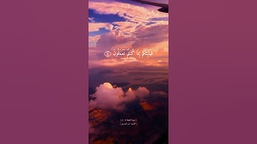 قل ان الموت الذي تفرون منه فانه ملاقيكم || سورة الجمعه || ياسر الدوسري || حالات واتس اب || بدون حقوق