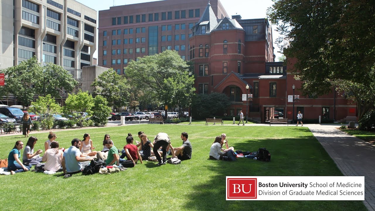 boston university online phd programs