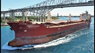 FEDERAL SAKURA - Upbound Port Huron, Michigan 7-14-2022