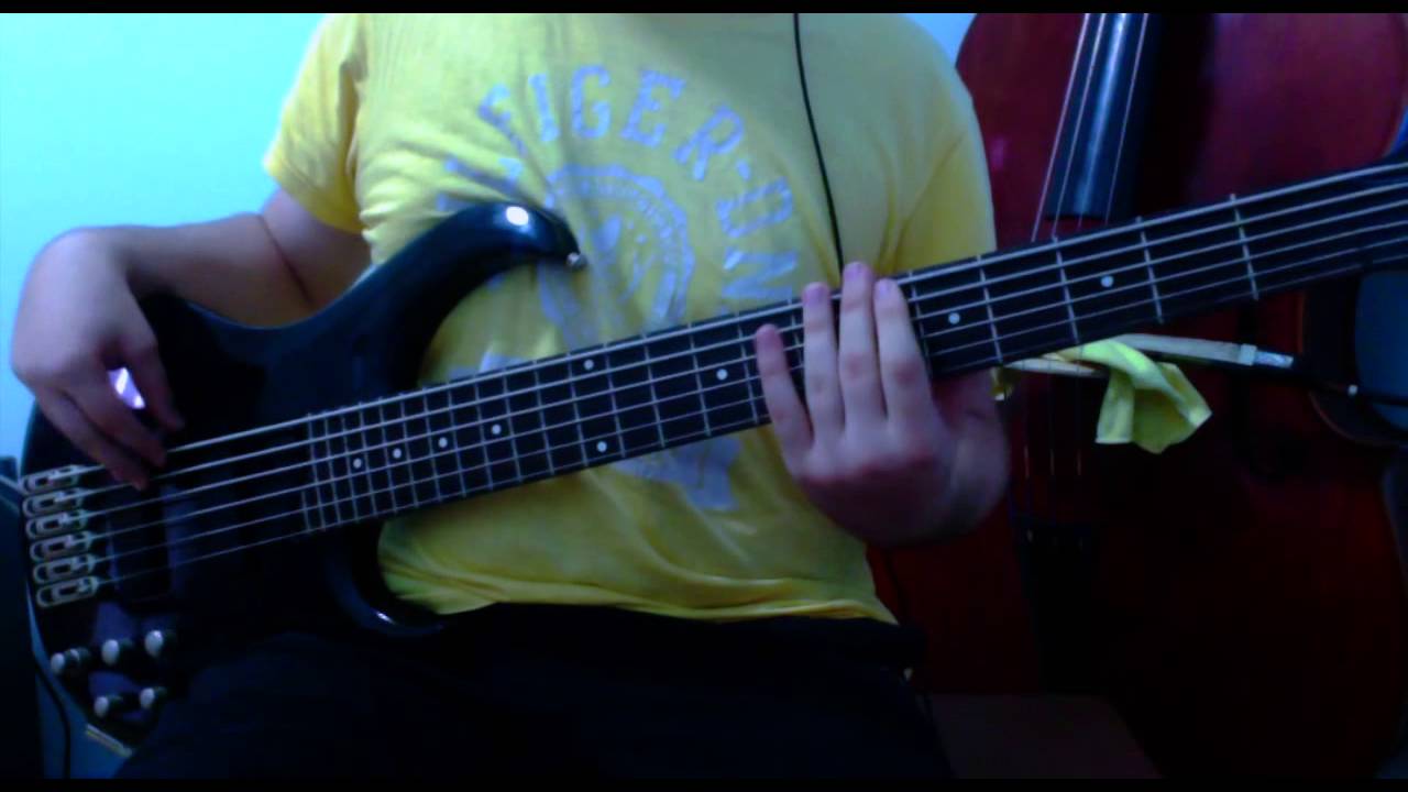 Wii Sports - Theme | Bass Cover - YouTube