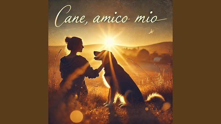 Cane, amico mio