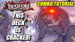 EVERYTHING YOU NEED TO KNOW: Purrely Combo Tutorial | February 2024 | YUGIOH!