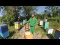 Как облегчить жизнь пчеловода? Мои приспособления
