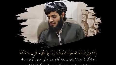 سورة الجاثية بصوت الشيخ رعد الكردي