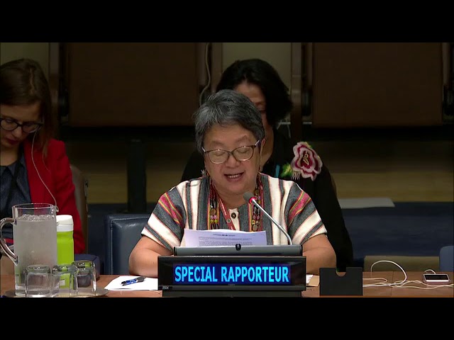 UN Special Rapporteur Prof. DR. Vicky Tauli Korpus Report Human Rights in West Papua