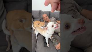 Happy Birthday To Youtube Me And Niki Love To Be Creators Here