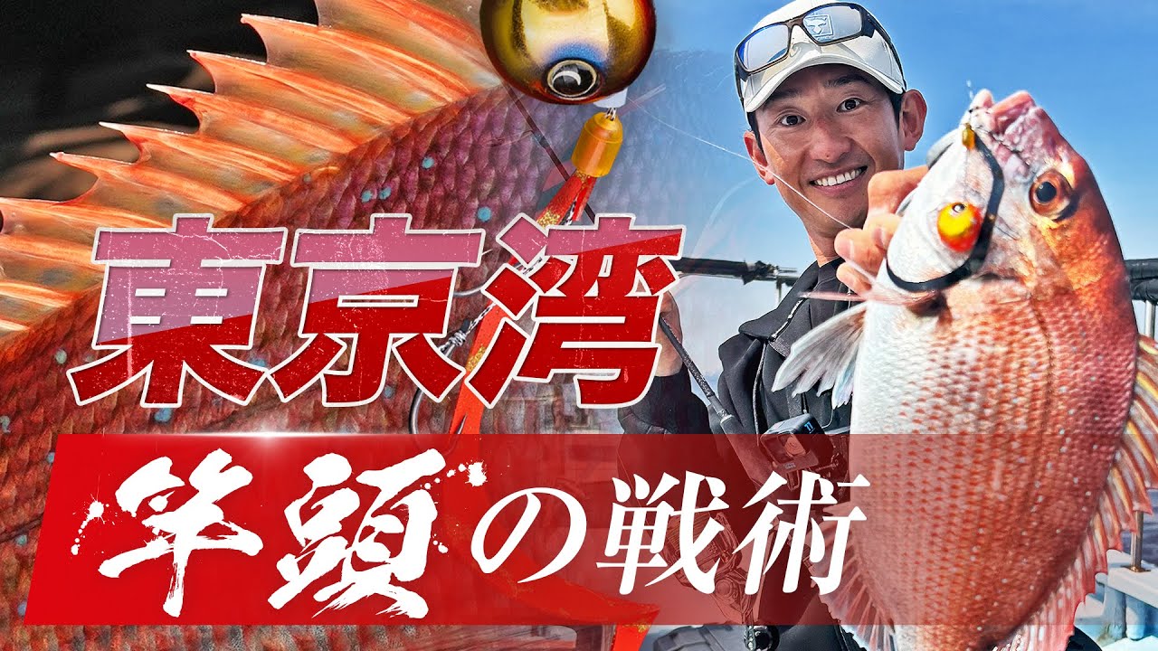 【タイラバ】東京湾で魅せた竿頭の妙技！アウェイを制する戦術 / 田邊義雄 ＃ビンビン玉 ＃ビンビンスイッチ #ビンソルチャンネル