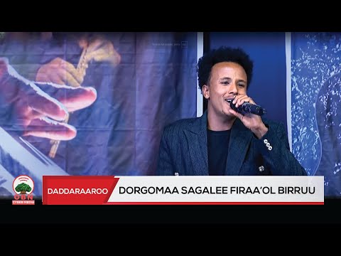 Daddaraaroo Dorgomaa Sagalee Firaa Ol Birruu