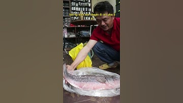 LÓC BÔNG KHỦNG HỒ ĐỒNG MÔ