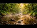 Deep Sleep with River Sounds & Relaxing Music 🌙 Nature Ambience